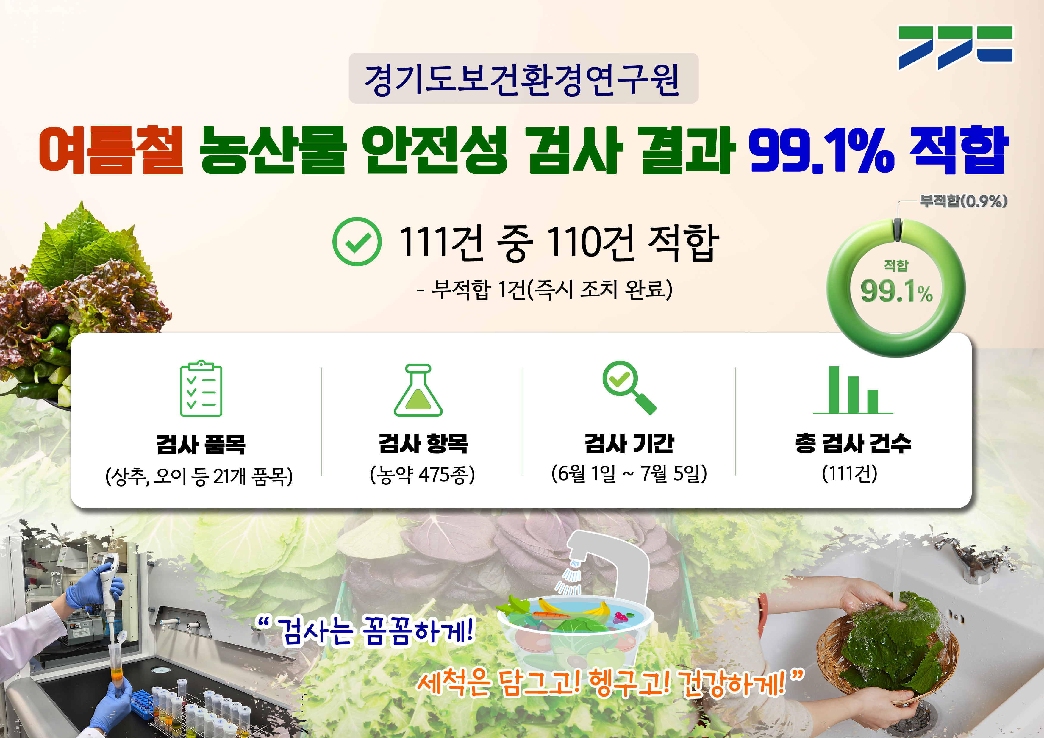 경기도보건환경연구원, 여름철 쌈채소 등 농산물 안전성 검사… 99.1% 적합